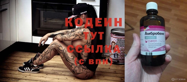 прущий лед Аркадак