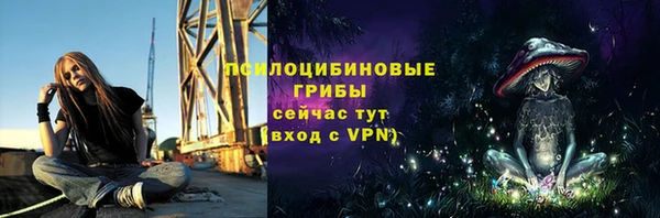 гидра Армянск