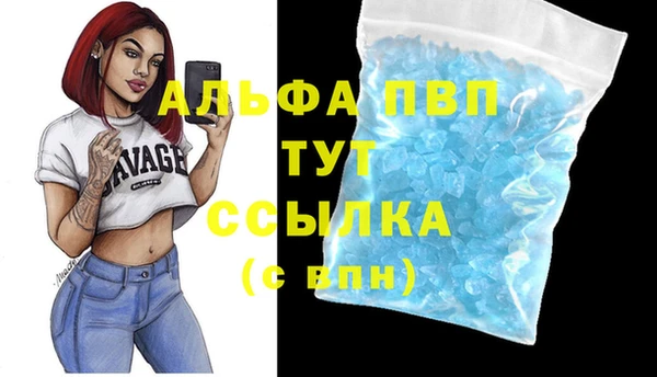 прущий лед Аркадак