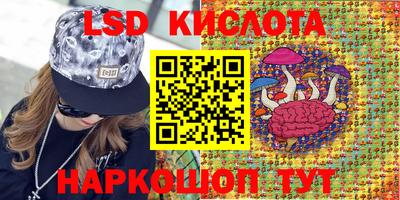 гашик Нарткала