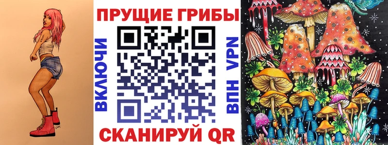 Галлюциногенные грибы Psilocybine cubensis  сколько стоит  Шадринск 