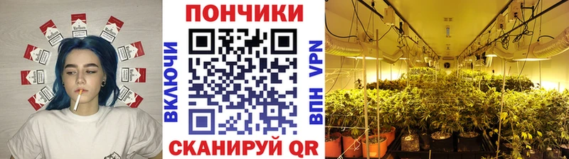 МАРИХУАНА индика  даркнет клад  Шадринск 